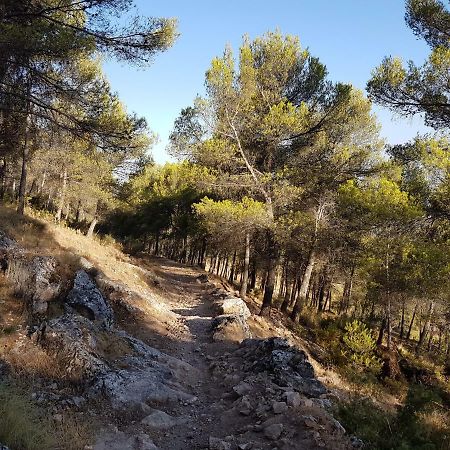 Apartamentos Rurales La Dehesa Del Acebuche Jaén Екстериор снимка