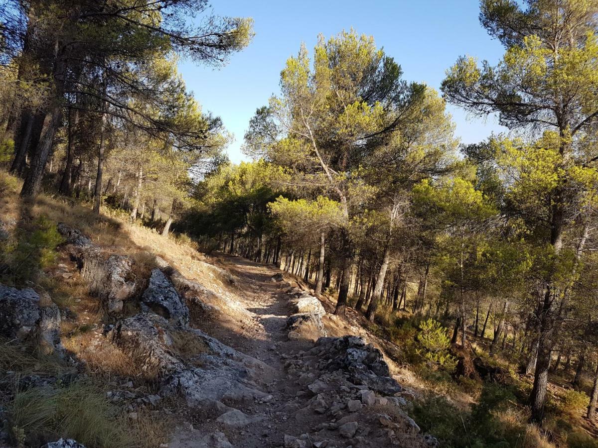 Apartamentos Rurales La Dehesa Del Acebuche Jaén Екстериор снимка