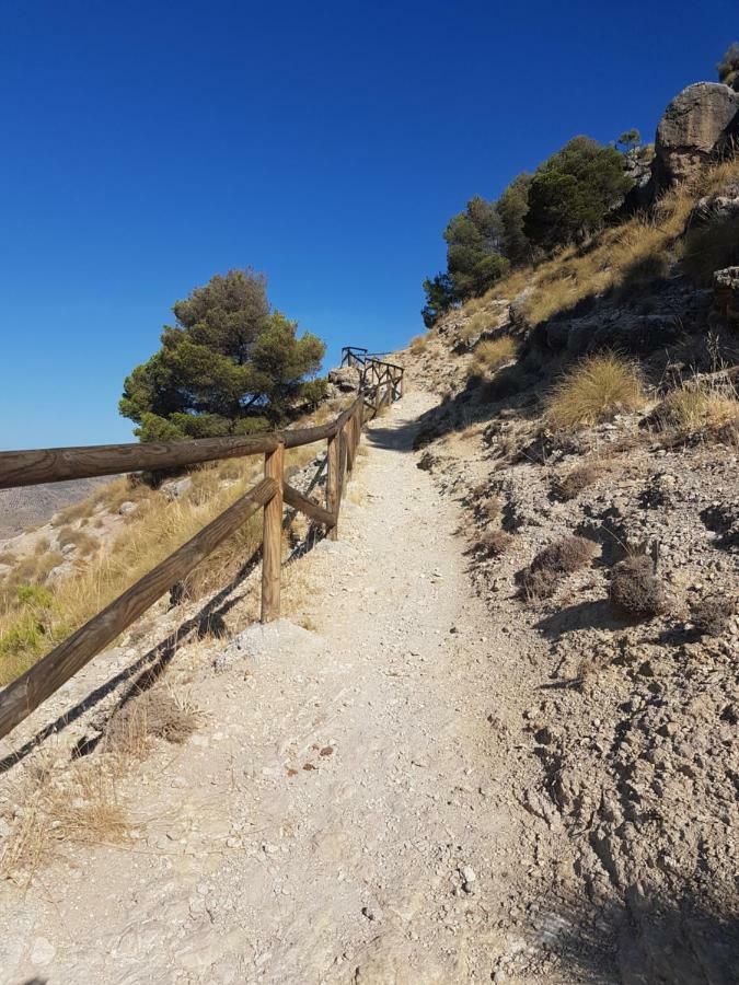 Apartamentos Rurales La Dehesa Del Acebuche Jaén Екстериор снимка