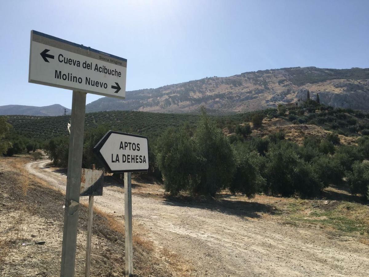 Apartamentos Rurales La Dehesa Del Acebuche Jaén Екстериор снимка
