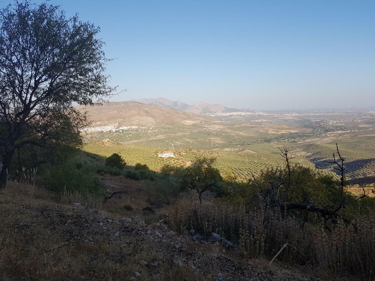 Apartamentos Rurales La Dehesa Del Acebuche Jaén Екстериор снимка